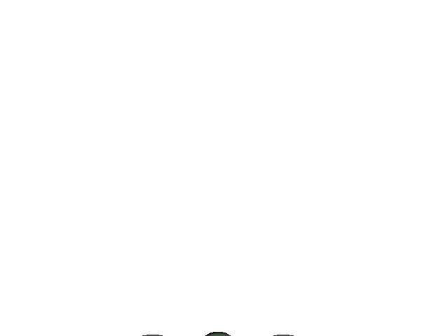 File:Pnmickey.gif