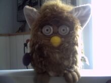 PuppyDogFurby
