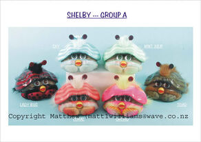 2ndgenshelbys