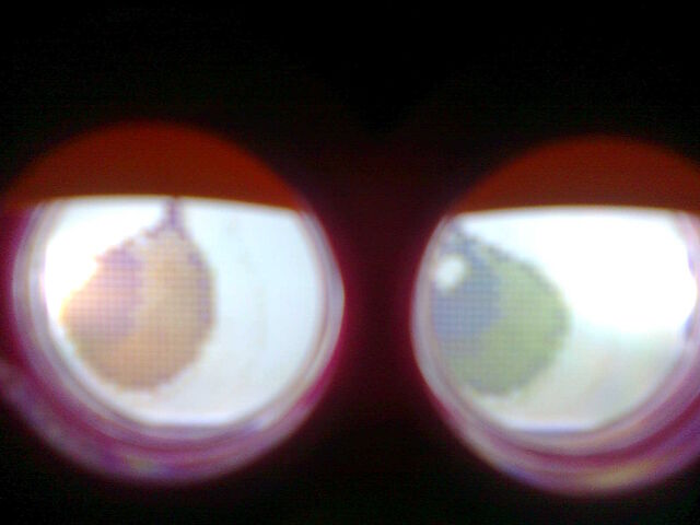 File:Image1255.jpg