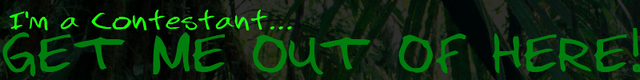 File:Banner.png