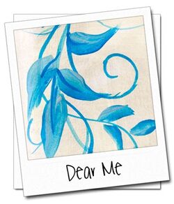 Dear-Me-Polaroid-3-