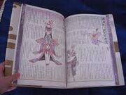 Garyou page