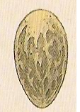 American Dragon Egg