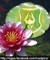 Thumbnail for version as of 13:37, December 2, 2011