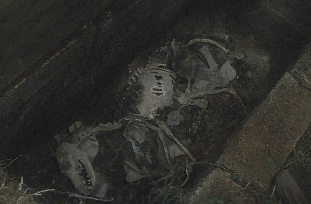 File:Original DeadJackal.jpg