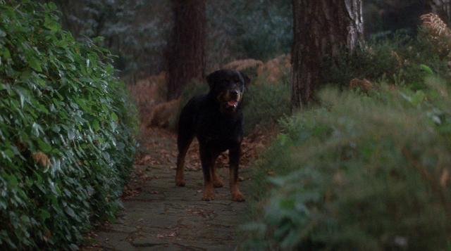 File:OriginalHellhound.png