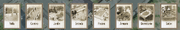 Actualizar.png