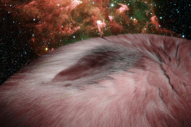 Brown Dwarf Planet