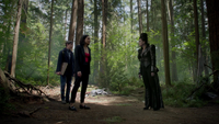 6x02 Reine Regina Sérum Méchante Reine Regina Mills Henry Mills retrouvailles règlements de compte forêt