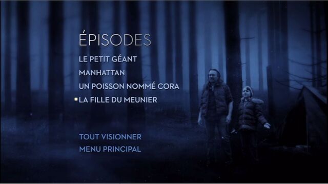 Fichier:Capture.jpg
