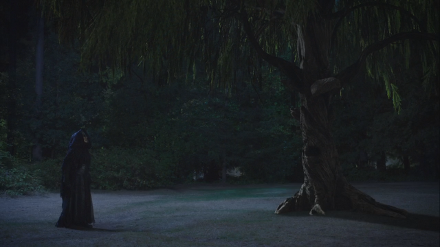 Fichier:5x05 Ténébreux arbre de Merlin tête levée.png