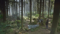 6x07 forêt de Storybrooke Emma Swan Killian Jones Capitaine Crochet Regina Henry Mills cercueil de verre Mary Margaret Blanchard David Nolan baiser Véritable Amour rayonnement lumière magie magique Charme du Sommeil