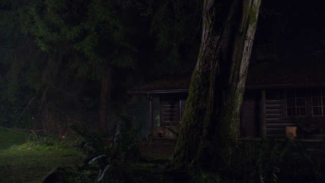 File:119Cabin.png