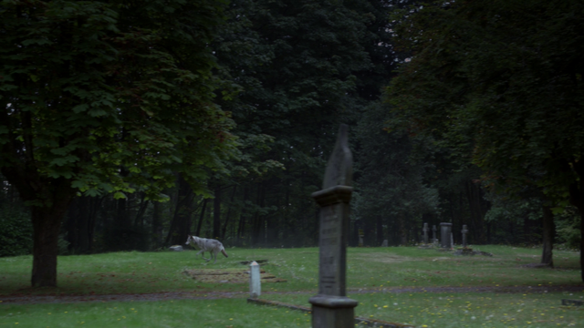 File:107WolfRuns.png