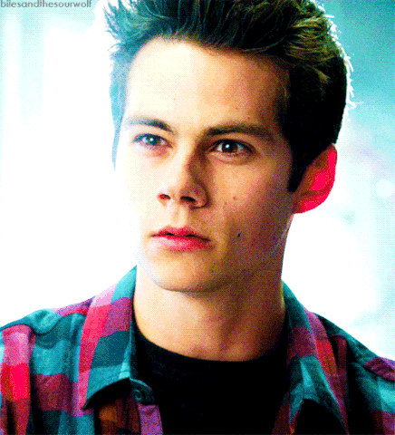 File:Tumblr n7xhqhNmCk1qexcklo1 500.gif
