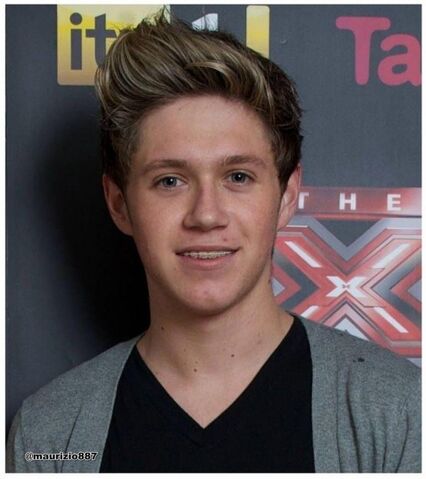 File:Niall-horan-niall-horan-1501586190.jpg