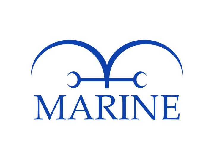 Marines One Piece Cruise Wiki FANDOM Powered By Wikia
