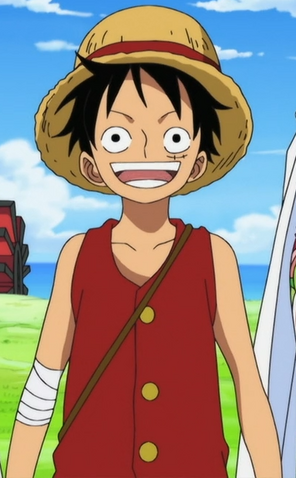 File:Luffy Right Before Timeskip.png