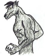 Xolo.jpg
