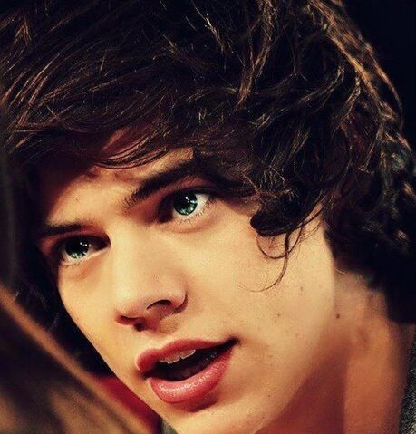 Datei:Harry-styles-shared-photo-2070344126.jpg
