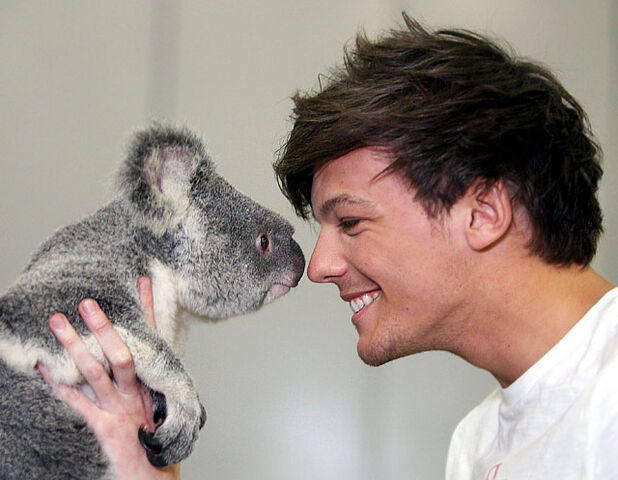 File:1334858055 louis-tomlinson.jpg
