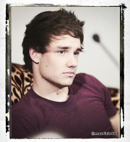 File:Liam-payne-2013-one-direction-33214645-1467-1600.jpg