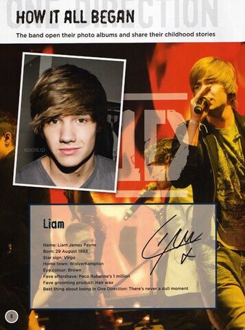 File:Liam:TheOfficialAnnual.jpg