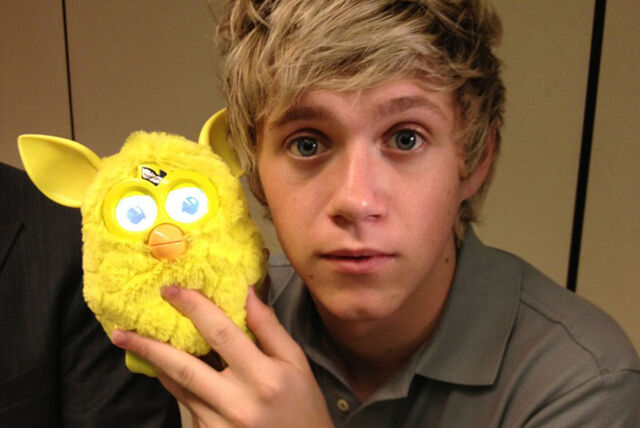 File:Furby niall.jpg