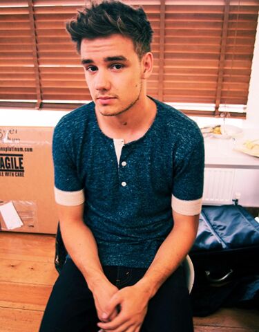 File:Liam-payne-sexy-beard-2013.jpg
