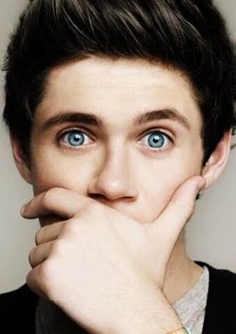 File:NiallBrownHairCute.jpg
