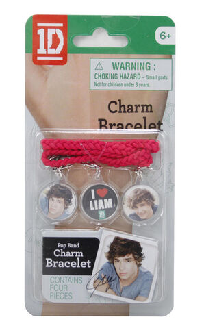 File:BAB charm braclet Liam.jpg