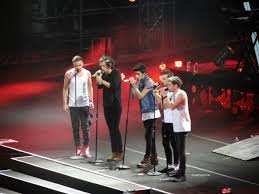 File:1D Boys on tour 2014.jpg