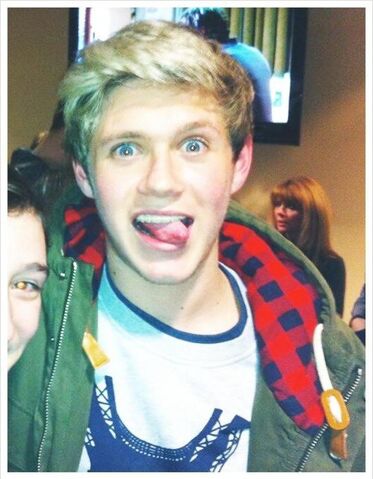 Datei:Niall-horan.jpg