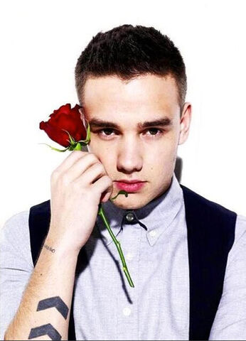 File:Anan-photoshoot-liam-payne-rose.jpg