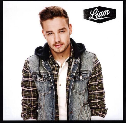 File:Liam 2015.jpg