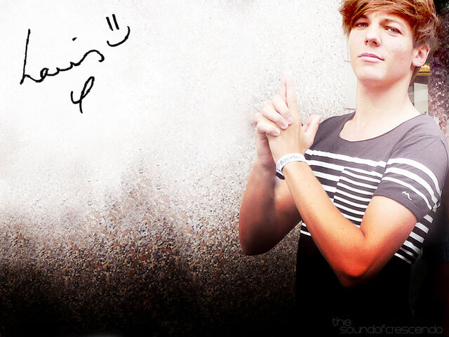 File:-Louis-Wallpaper-louis-tomlinson-28486084-1024-768.jpg