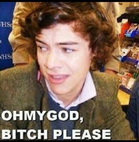 File:Bitch please Harry.jpg