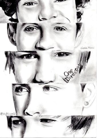 File:One directon lover.jpg