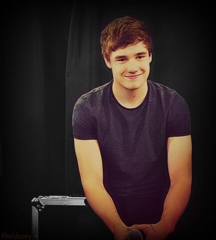 File:Liam+Payne+tumblr m7oeyrMdmk1ra5vm0o1 500.jpg