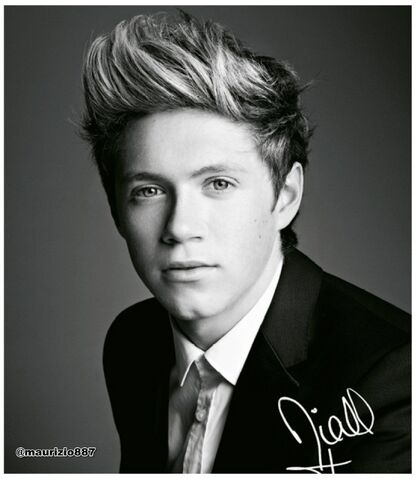 File:Niall-Horan-vogue-Photoshoots-2012-one-direction-32657336-1392-1600.jpg