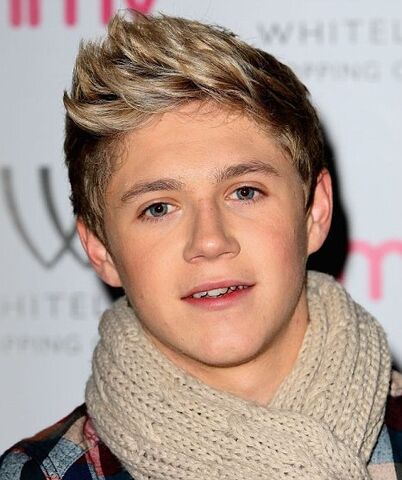 File:Niall Horan.jpg