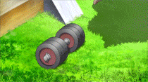 Fuwa Fuwa no Mi.gif