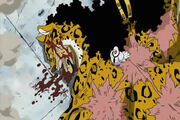 Lucci KO.jpg
