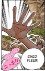 Cinco Fleur.png