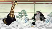 Kaku girafa.png