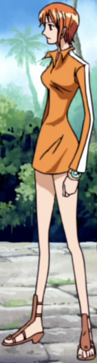 File:Nami's Movie 5 Outfit.png