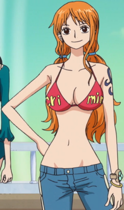 File:Nami Criminal Bra.png