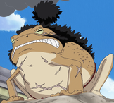 Yokozuna Anime Infobox.png