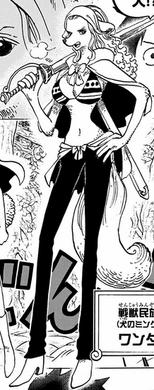 File:Wanda Manga Infobox.png